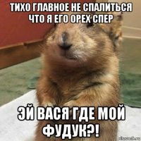 тихо главное не спалиться что я его орех спер эй вася где мой фудук?!