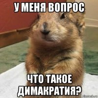 у меня вопрос что такое димакратия?