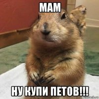 мам ну купи петов!!!