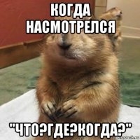 когда насмотрелся "что?где?когда?"