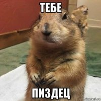 тебе пиздец