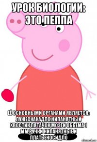 урок биологии: это пеппа её основными органами является: лужескакадло,нипанятный хвостик,пятачок,мозги обьема 1 мм,ручки нипанятные и платьеносидло