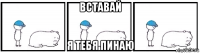 вставай я тебя пинаю