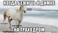 когда бежишь к димке на траходром