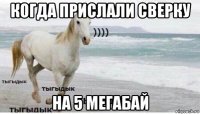 когда прислали сверку на 5 мегабай