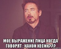  мое выражение лица когда говорят : какой кесик???