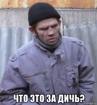  что это за дичь?