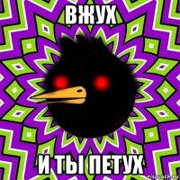 вжух и ты петух