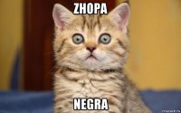 zhopa negra