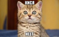 кися неет