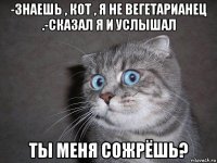 -знаешь , кот , я не вегетарианец .-сказал я и услышал ты меня сожрёшь?