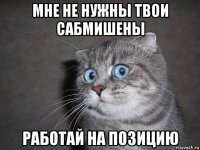 мне не нужны твои сабмишены работай на позицию