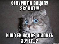 о! кума по вацапу звонит!!! и шо ей надо? выпить хочет...?