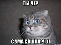 ты че? с ума сошла?! (((