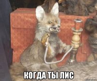  когда ты лис