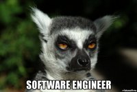  software engineer