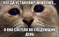 когда установил windows... а она слетела на следующий день