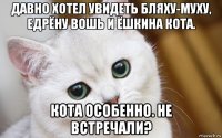 давно хотел увидеть бляху-муху, едрёну вошь и ёшкина кота. кота особенно. не встречали?