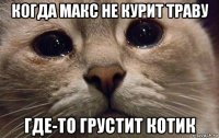 когда макс не курит траву где-то грустит котик