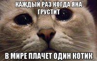 каждый раз когда яна грустит в мире плачет один котик