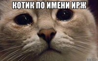 котик по имени ирж 