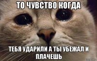 то чувство когда тебя ударили а ты убежал и плачешь