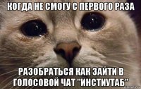 когда не смогу с первого раза разобраться как зайти в голосовой чат "инстиутаб"