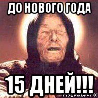 до нового года 15 дней!!!