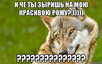 и че ты зыришь на мою красивою рожу?:))))) ???????????????