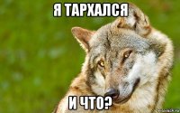 я тархался и что?