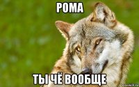 рома ты чё вообще