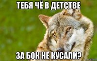 тебя чё в детстве за бок не кусали?