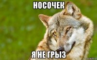 носочек я не грыз