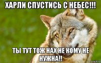 харли спустись с небес!!! ты тут тож нах не кому не нужна!!