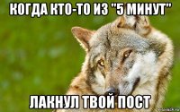 когда кто-то из "5 минут" лакнул твой пост