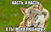 насть, а насть а ты меня любишь?