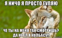 я ничо я просто гуляю че ты на меня так смотришь? да не ел я колбасу!!