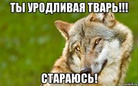 ты уродливая тварь!!! стараюсь!