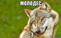 молодес <3