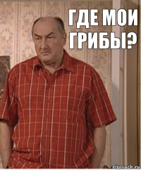 где мои грибы?