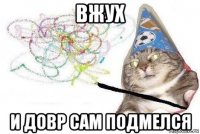 вжух и довр сам подмелся