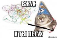 вжух и ты петух