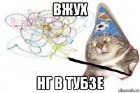 вжух нг в тубзе