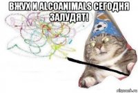 вжух и alcoanimals сегодня залудят! 