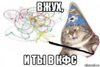 вжух, и ты в кфс