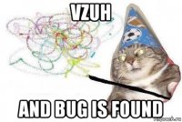 vzuh and bug is found