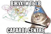 вжух! и ты в caparol centre