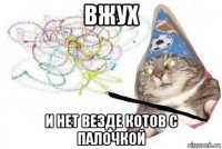 вжух и нет везде котов с палочкой