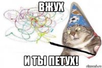 вжух и ты петух!