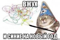 вжух и синие на новый год